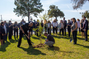 survivor-tree-ceremony_05