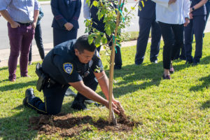 survivor-tree-ceremony_06