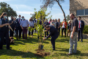 survivor-tree-ceremony_07
